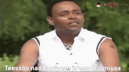 Oromo Oromia GIF - Oromo Oromia Sing GIFs