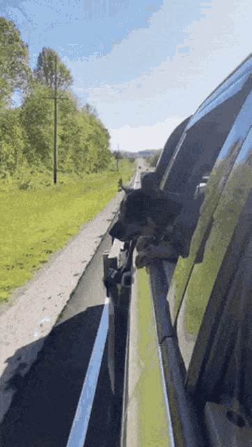 a dog is sticking its head out of the window of a car