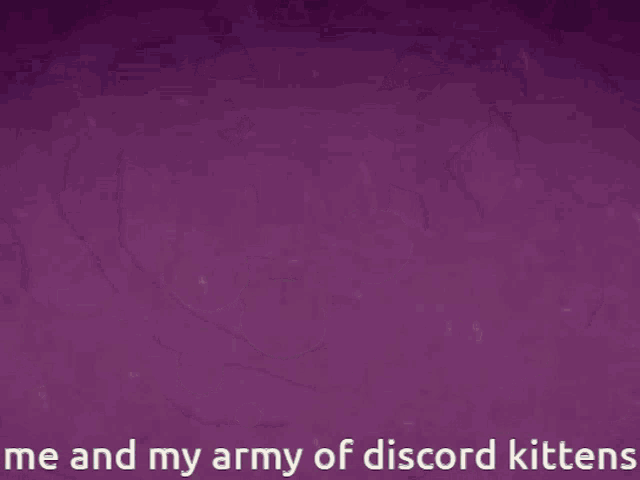 a purple background with faces and the words me and my army of discord kittens
