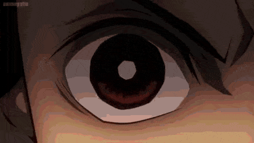 a close up of a person 's eye with a black pupil .