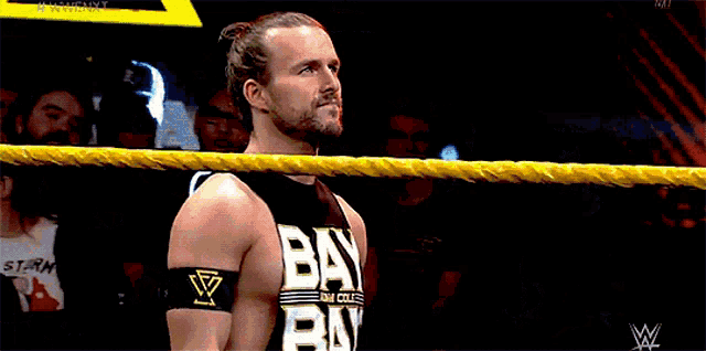 a wrestler wearing a bay bay shirt stands in a ring