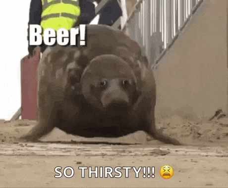 a seal is walking on the ground with the words `` beer ! so thirsty ! '' above it .