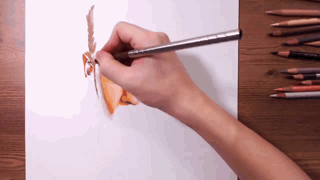 a person is drawing a squirrel with a pencil on a piece of paper