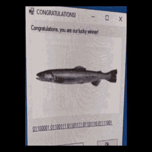 a computer screen congratulates the lucky winner