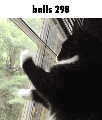 a black and white cat is looking out a window with the words balls 298 below it