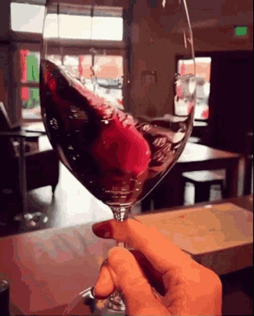 Wine Lets Drink GIF - Wine Lets Drink Come Drink With Me GIFs