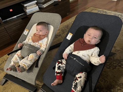 two babies are sitting in baby delights bouncers on a rug