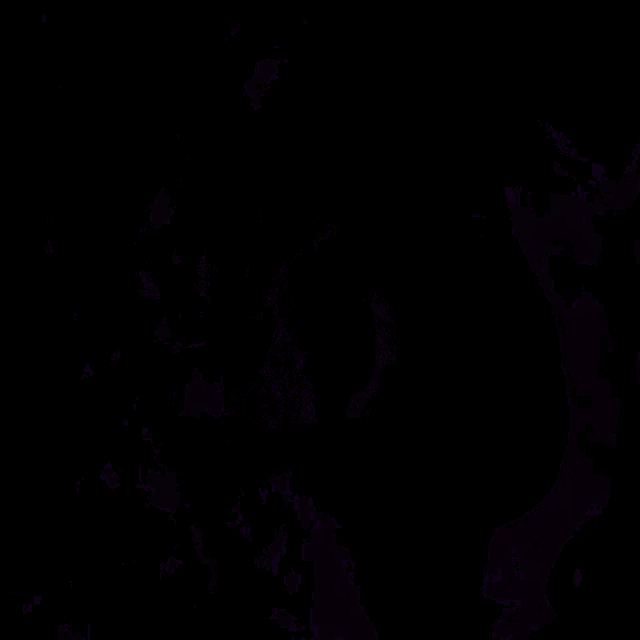 a close up of a woman 's face in purple