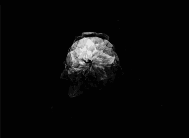 a black and white photo of a flower with a hole in the center