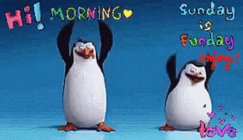 Morning Happy Sunday GIF - Morning Happy Sunday Penguin GIFs