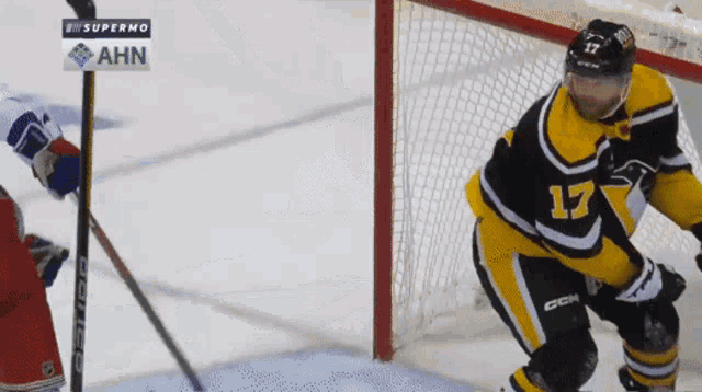 a hockey player with the number 17 on his jersey stands in front of the net
