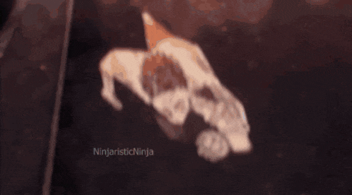 a picture of a dog laying on the ground with ninjaisticninja written on the bottom right