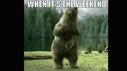 When Its The Weekend Bear GIF - When Its The Weekend Bear Happy GIFs