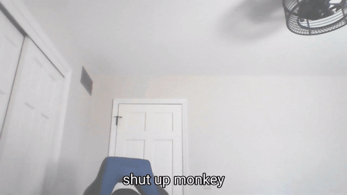 Shut Up Monkey Gun GIF - Shut Up Monkey Shut Up Monkey GIFs