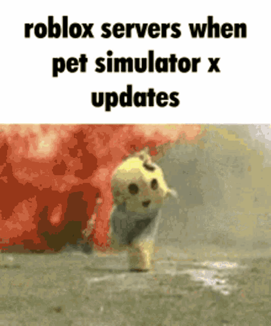 a dog is running in a field with the words roblox servers when pet simulator x updates .