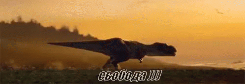 свобода динозавр тираннозавр бежать закат GIF - Dinosaur Running Tyrannosaurus GIFs
