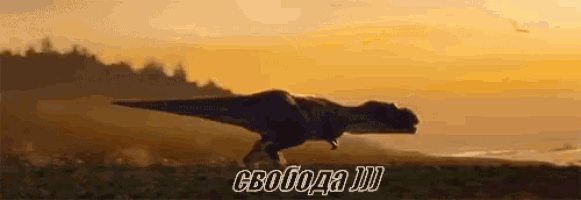 a t-rex is running through a field at sunset with the words svoboda written on the bottom .