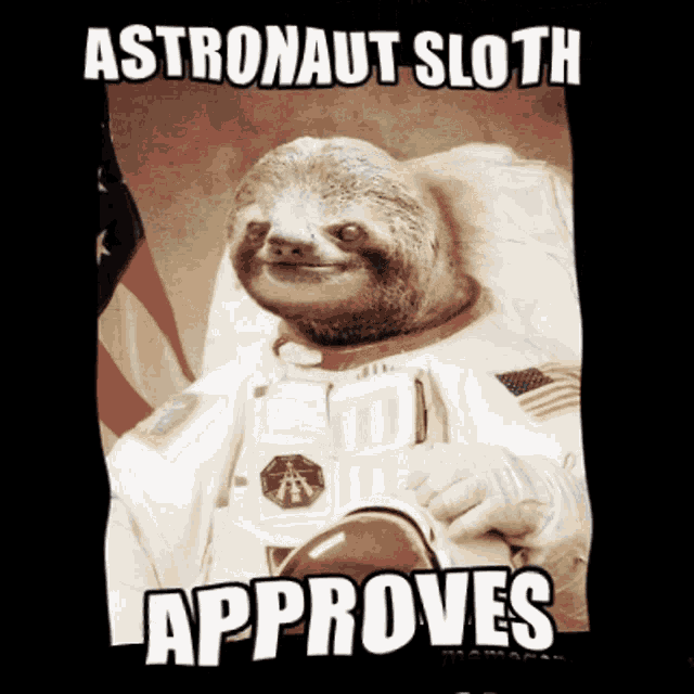 Sloth Trippy GIF - Sloth Trippy Astronaut GIFs
