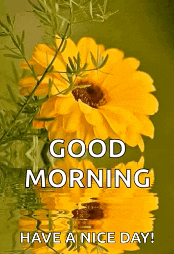 a picture of a sunflower with the words good morning have a nice day