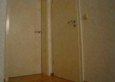 a snake is crawling out of a doorway in a room
