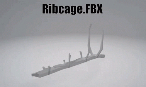 Ribcage Fbx GIF - Ribcage Fbx Model GIFs
