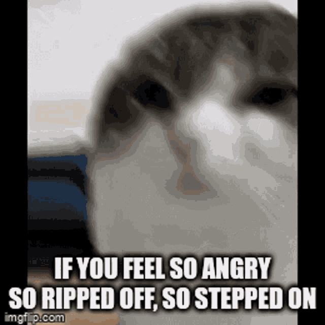 If You Feel So Angry GIF - If You Feel So Angry GIFs