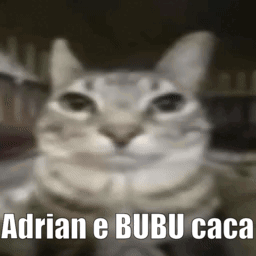 Adrian E Bubu Caca GIF - Adrian E Bubu Caca GIFs