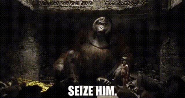 a monkey is sitting in a dark room with the words `` seize him . ''