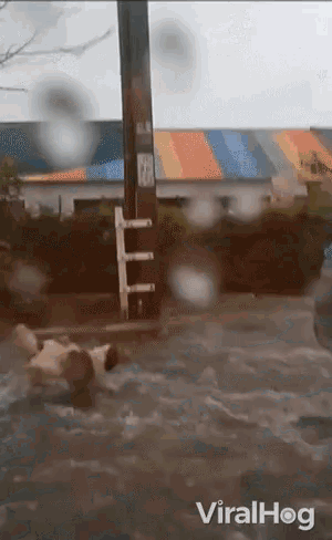 Flooding Following GIF - Flooding Following Natural Disaster GIFs