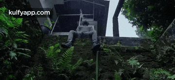 a man is sitting on the steps of a building surrounded by ferns and moss .