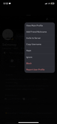 a screenshot of a phone screen showing a menu of options including view main profile add friend nickname invite to server and copy username