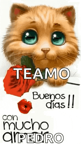 a cat is holding a red rose in its mouth and says `` teamo buenos dias '' .