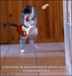 Kitty Rock And Roll GIF - Kitty Rock And Roll Funny Animals GIFs