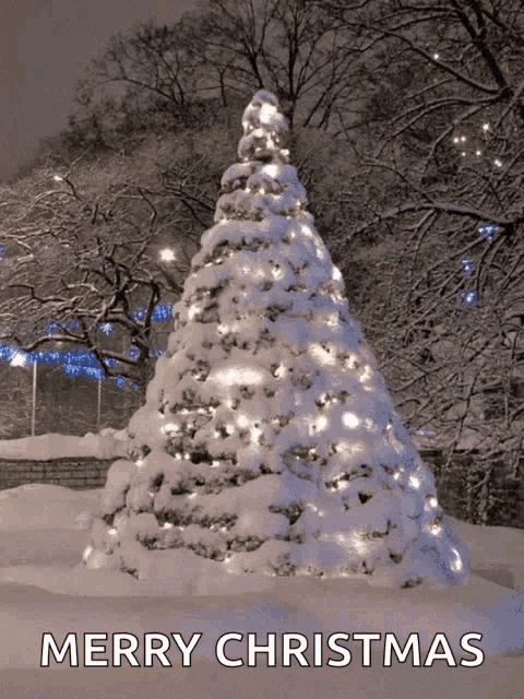a snow covered christmas tree with the words merry christmas above it