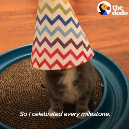 Birthday Celebration GIF - Birthday Celebration Kitten GIFs