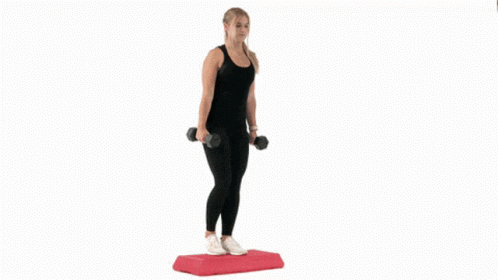 Reverse Lunges GIF - Reverse Lunges GIFs