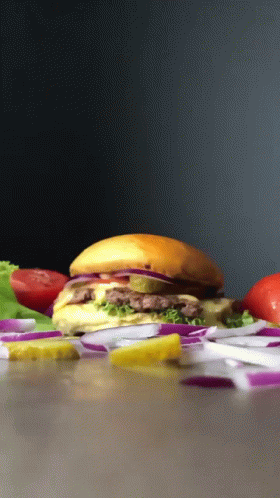 Burgada Burger GIF - Burgada Burger Hamburgada GIFs