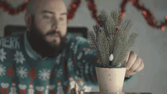 a man wearing a merry christmas sweater holds a small christmas tree in his hand