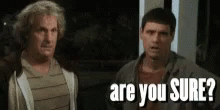Dumb And Dumber Are You Sure GIF - Dumb And Dumber Are You Sure GIFs