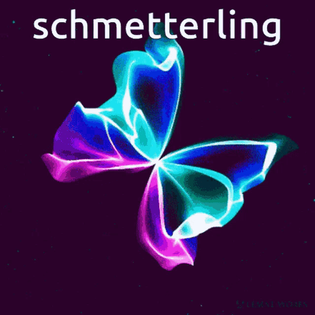 a blue background with a butterfly and the word schmetterling above it