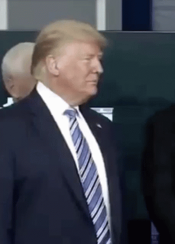Trump Donald Trump GIF - Trump Donald Trump Lipbite GIFs