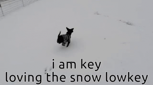 Key Snow Key GIF - Key Snow Key Ishh GIFs