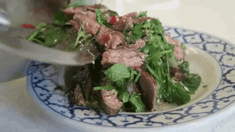 a plate of food with meat and vegetables on it .