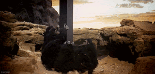 Apes Monolith GIF - Apes Monolith Movie GIFs