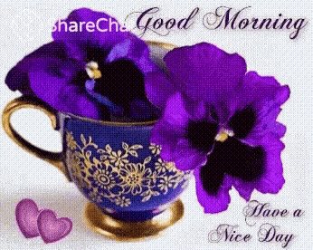 purple flowers in a blue cup with the words good morning have a nice day on the bottom