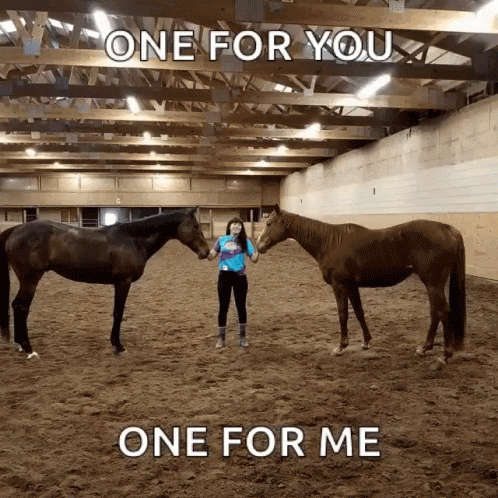 Horse One For You GIF - Horse One For You One For Me GIFs