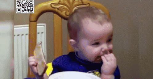 a baby is sitting in a chair eating a piece of food .