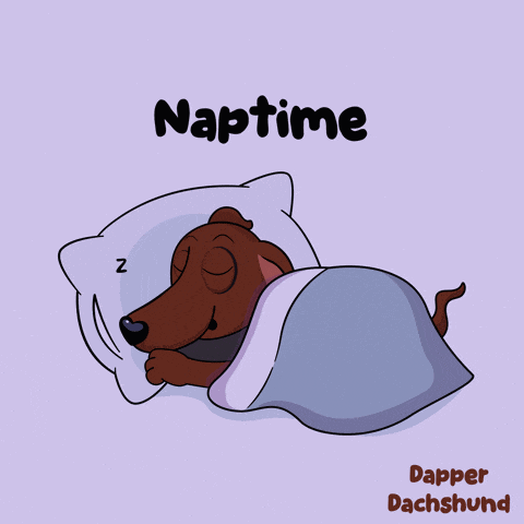 a cartoon of a dachshund sleeping under a blanket with the words naptime above it