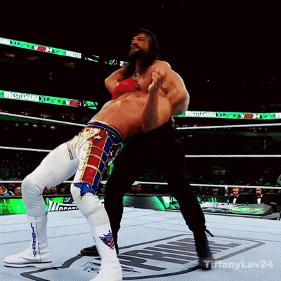 two wrestlers in a wrestling ring with tiffanyluv24 written on the bottom