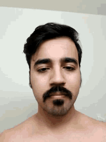 Hi Beard GIF